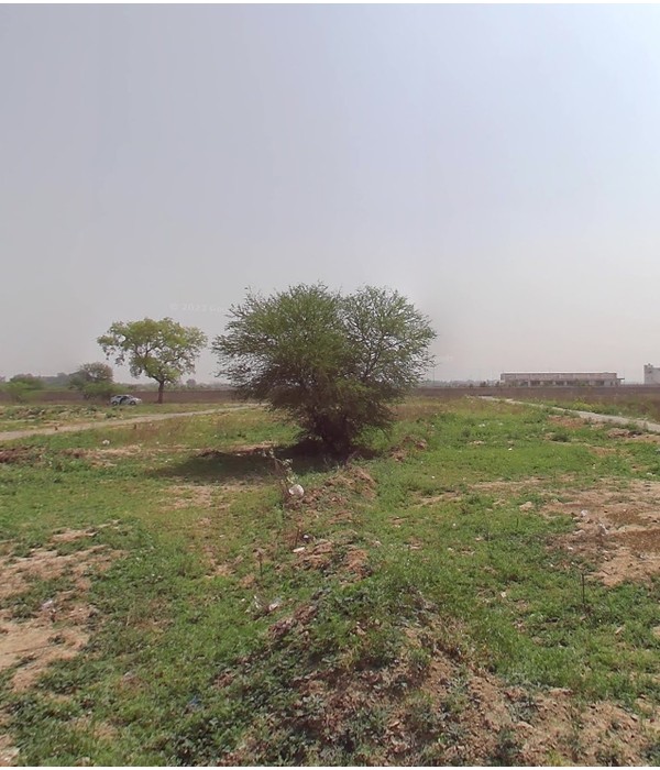 Rohini Sector 37 Plot for Sale - A1 | 160B Front View